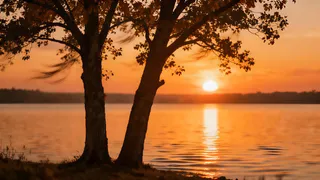 Hai già trovato la tua anima gemella? Scoprilo qui!